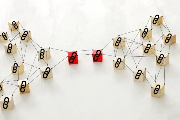 Danielle social marketing - linkbuilding en seo blog
